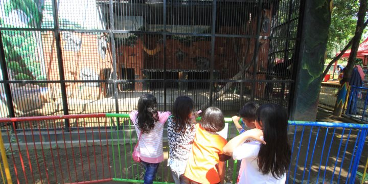 Taman Wisata Studi Lingkungan (TWSL)